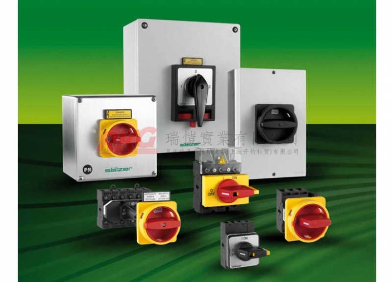 隔離開關 Disconnect Switches